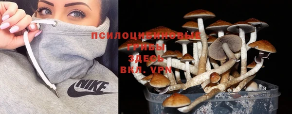 героин Абаза