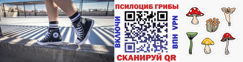 Галлюциногенные грибы Magic Shrooms Александровск-Сахалинский
