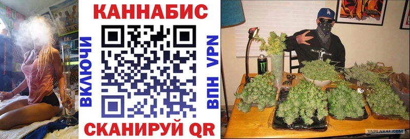 закладка Александровск-Сахалинский мега вход Бошки Шишки LSD WEED